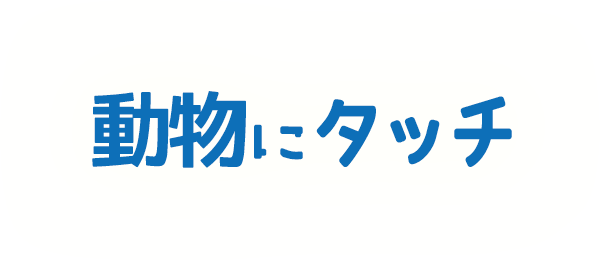 動物にタッチ