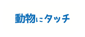 動物にタッチ