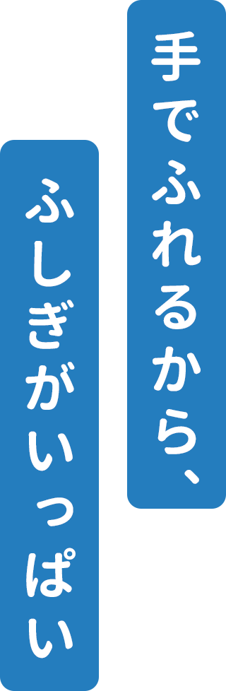 手でふれるから、ふしぎがいっぱい